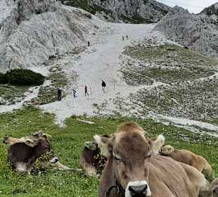 Wandern Hermagor - Pressegger See