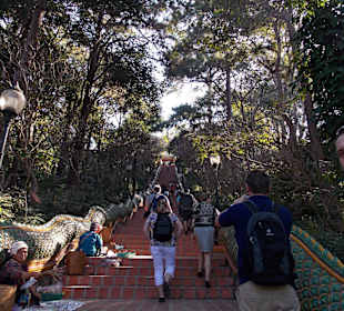 Wat Phrathat Doi Suthep