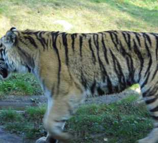 WP LH Herbst Impression