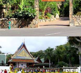 Palmitos Kontra Loro