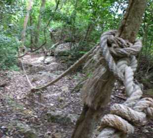 Aufgang Buaboke Cave II