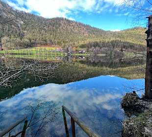 Thumsee