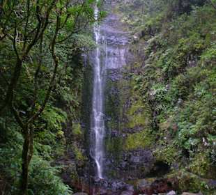 Levadaweg beim Encumeadapass ("Folhadalwanderung")