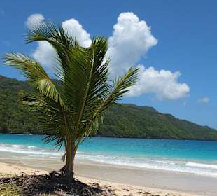 Playa Rincon