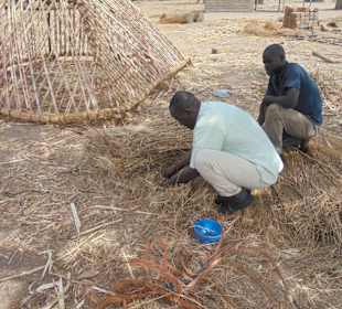 Dachbau im Norden von Kamerun