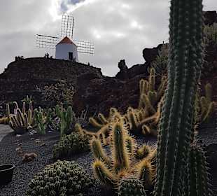 Jameos del Agua Cesar Manrique