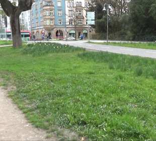Promenade Konstanz
