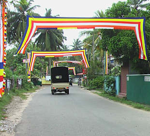 Nur eine ganze Strassenbreite