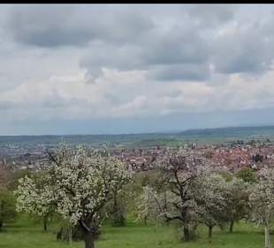 Wanderstrecke Mössinger Streuobstwegle