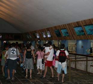 Xcaret - Eingangsbereich 