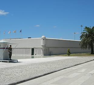 Museo del pato Combate