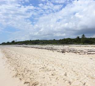 Strandabschnitt im Süden