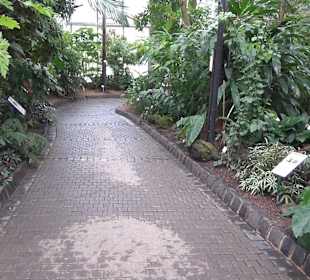 Tropicarium - Feuchte Tropen