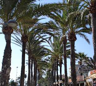 Kilometerlange Promenade