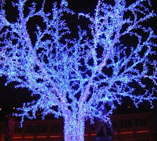 Disneyland lässt grüßen