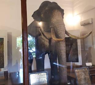 Hochland von Sri Lanka