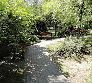 Sady Żoliborskie