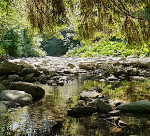 Wandern Waltensburg/Vuorz