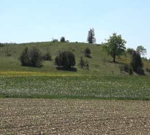 Premiumwanderweg Hochgehschätzt
