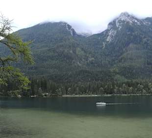 Ausblick