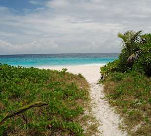 Strand Sister Island