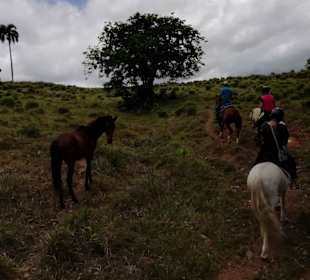Lange Zeit unser Begleiter