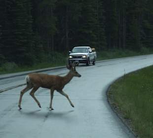 Langsam fahren lohnt sich...