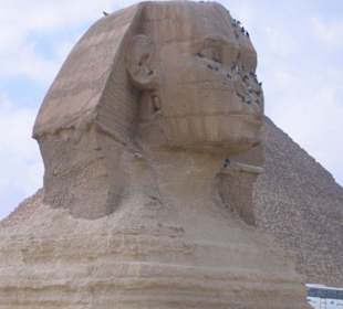 Die Sphinx