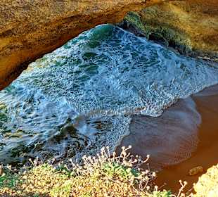 Seven Hanging Valleys Trail