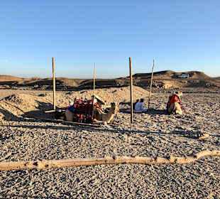 Quad Tour Marsa Alam