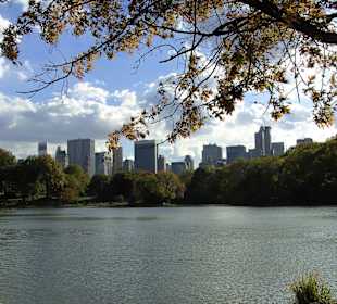 Central Park Lake
