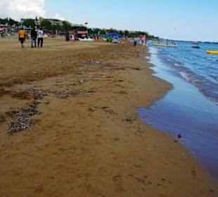 Vom Sunrise Richtung Kumköy-Evrenseki am Strand