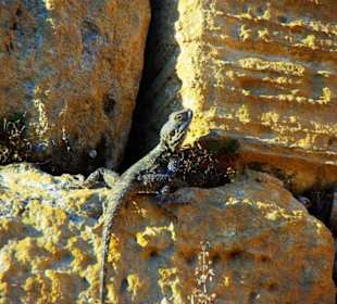 Sulahikulle - Vergessene Stadt