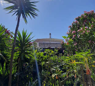 Notos Beach / Taverne Panorama
