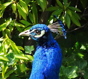 Frühlingsspaziergang durch den Park des Schlosses