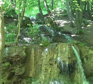 Wiesaztal Gönningen