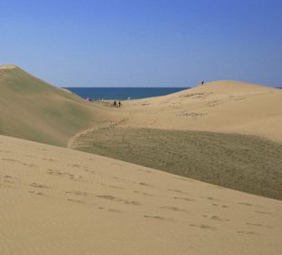Dünen von Maspalomas