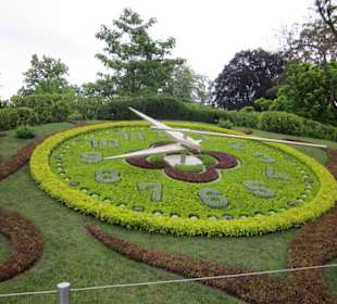 Blumenuhr