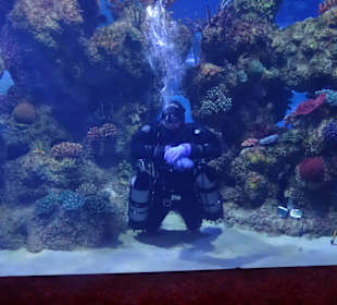 Er machte Spaß mit den Kindern