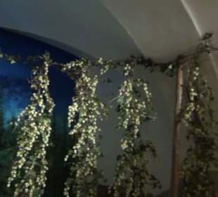 Alles für Nase und Gaumen