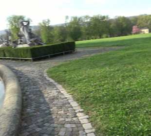 Springbrunnen im Schlosssee