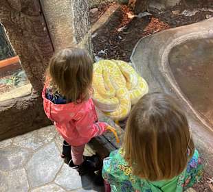 Abenteuer Dschungelland