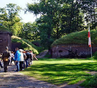 Musztra