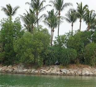 Insel vor dem Strand