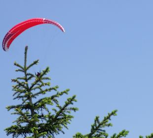 Paraglider
