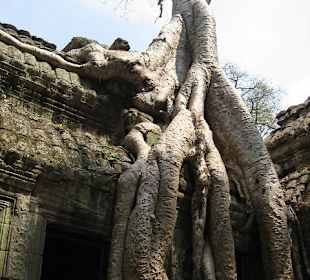 Ta Prohm