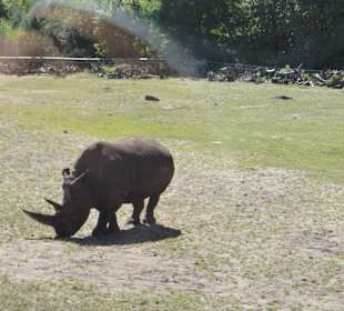 Ausflug Serengeti Park