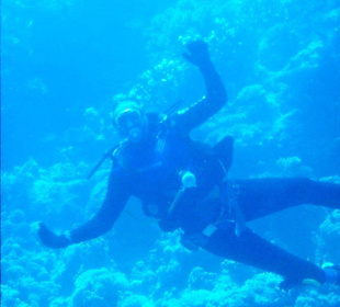 Schnorcheln Makadi Bay-Tauchen-Amy Reisen