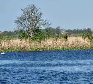 Blick in Richtung Loitz