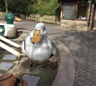 Erlebnispark Tripsdrill